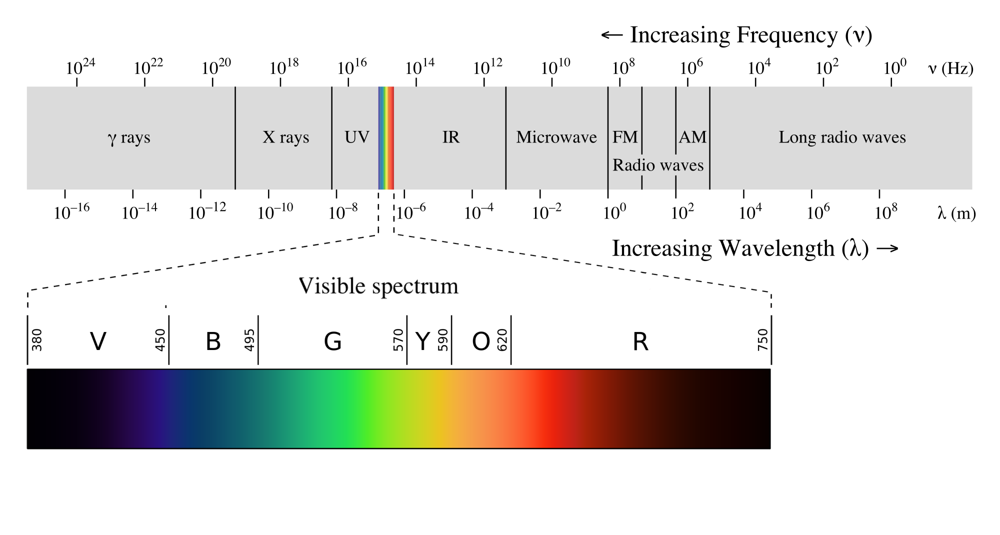 The Electromagnetic Spectrum, only a small portion of which is visible to our eyes. image credit Wikimedia
